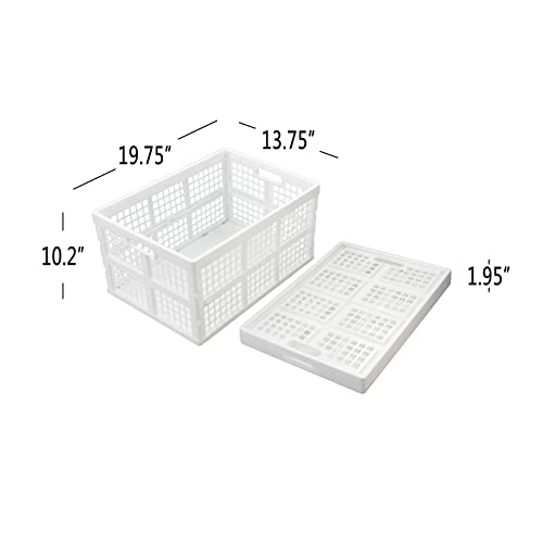 Begale 2-Pack Large Collapsible Crate, 42 L Folding Storage Basket, White - size: 42 L