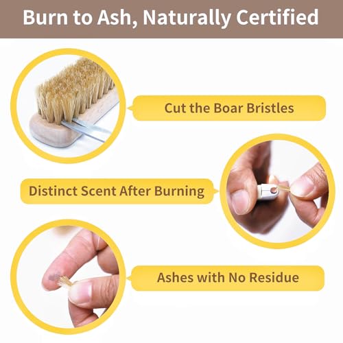 Large + Small Laundry Stain Brush Set with Soft Boar Bristles - size: Large&Small