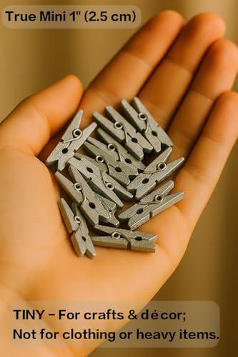 LWR CRAFTS Wooden Mini Clothespins 100 Per Pack 1" 2.5cm (Silver) - color: Silver