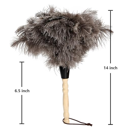 Ostrich Feather Dusters with Wooden Handles, 14''