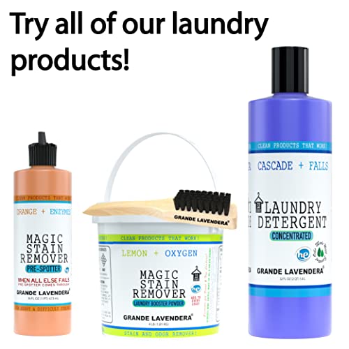 Professional Laundry Stain Brush, Nylon Bristles & Wooden Handle
