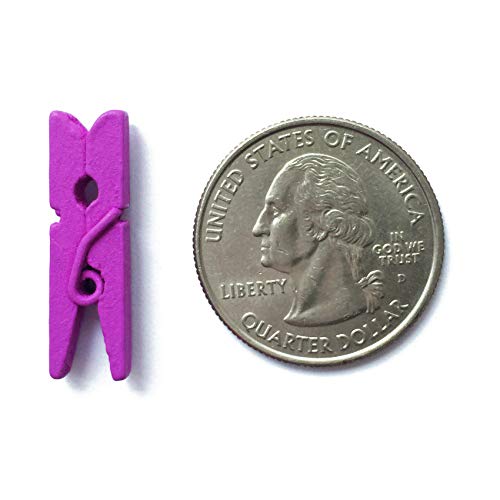 LWR CRAFTS Wooden Mini Clothespins 200 Per Pack 1" 2.5cm (Purple) - color: Purple