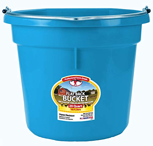 Little Giant Plastic Animal Feed Bucket (Teal) Flat Back Plastic Feed Bucket with Metal Handle (20 Quarts / 5 Gallons) (Item No. P20FBTEAL6)