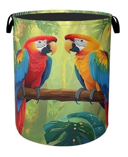 Tropical Parrot Foldable Laundry Hamper - Waterproof Fabric Storage Basket with Handles, Clothes Hampers for Laundry,Bedroom,Dorm - color: Tropical Parrot
