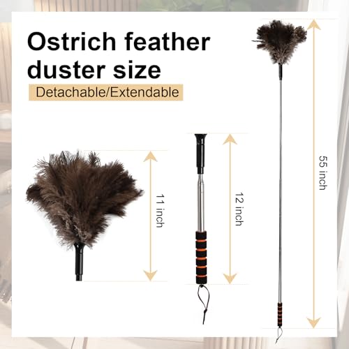 Extendable Ostrich Feather Duster 26-55 Inch, Natural Cleaning Duster with Sponge Grip and Stainless Steel Extension Pole Reusable for High Ceilings, Fans, Blinds, Furniture, Interior & Roof Dusting. - size: 21-55 Inch