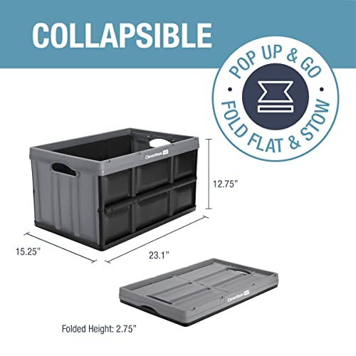 CleverMade Collapsible Storage Bins, 62L 3 Pack, 100 lb Stackable, Stone - color: Stone, size: 62l - 3 Pack