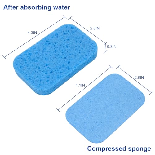 CELOX 7-Piece Dish Brush & Sponge Set: 6-Pack Sponges + 1 Dish Scrub Brush