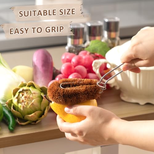 Sawysine Tawashi 100% Natural Coconut Coir Fiber Brush with Handle