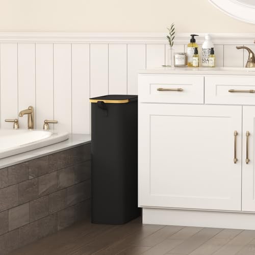 Lifewit 65L Slim Laundry Hamper with Lid and Removable Bag, Black - color: Black, size: 65L