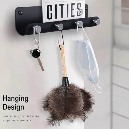 Ostrich Feather Duster 14" Natural Handheld Reusable Feathers Dusters with Wooden Handle for Cleaning Supplies Home Car Office(6PCS) - color: Natural-14in-stylec-6pcs