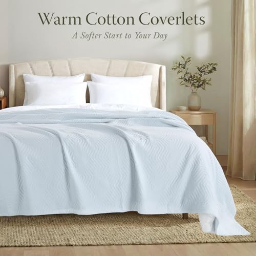 Threadmill Luxury Cotton Blankets for Queen Size Bed | All-Season 100% Cotton Queen Size Blanket | Aster Jacquard Cozy Lightweight, Soft Breathable Coverlet fits Full Size Bed, 90x92 | Light Blue - color: Aster Light Blue, size: Queen / Full