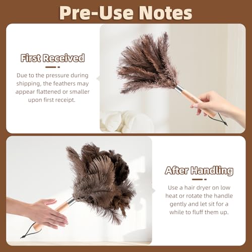 2 Pack Ostrich Feather Dusters for Cleaning with Wooden Handle, 13.5 inch - color: 13.5in-brown