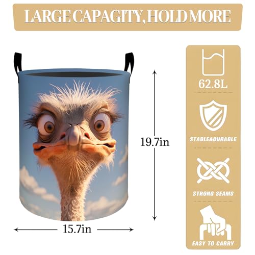 Funny Ostrich Laundry Basket, Dorm Nursery Foldable Laundry Hamper Organizer for Bathroom Decor, Toy Clothes Storage Box for Bedroom 19.7x15.7 Inch - style: Ostrich36