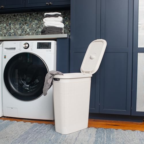 Mind Reader Slim Laundry Hamper with Lid, 40L Clothes Basket, Linen Design, Plastic, Ivory - color: Ivory