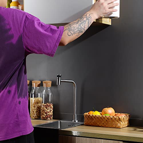 ZUNO Paper Towel Holder Cabinet Door or Under Cabinet, Self Adhesive - color: Brushed Silver/Cabinet Door