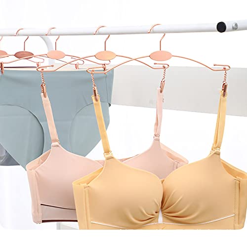 Metal Underwear Bra Rack, Durable Pants Clothes Hangers with Clips,for Lingerie Shop Display, 10pcs (Rose Gold-A1) - color: Rose Gold-a1