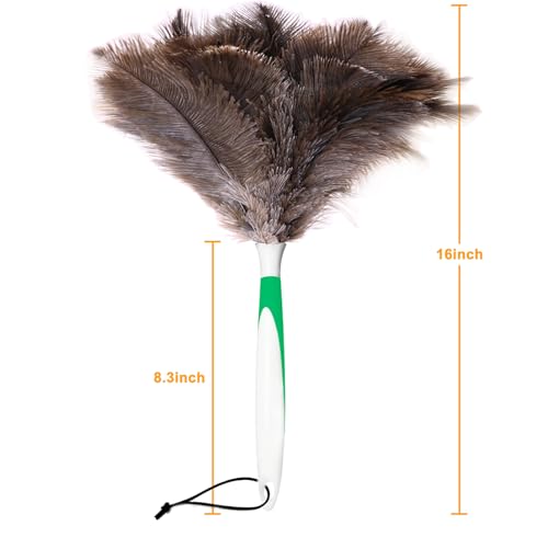Genuine Ostrich Feather Duster 16 Inch