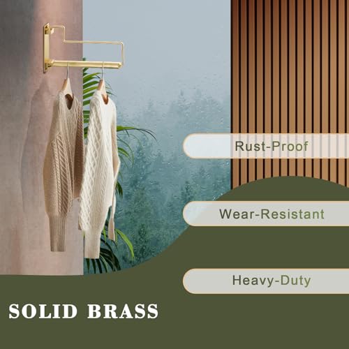 NEWRAIN Clothes Drying Rack, Laundry Racks for Drying Clothes, Wall Mounted Swing Arm Clothes Hanger for Laundry Room, Garage, Indoor & Outdoor Use,Brushed Gold (Pack of 2) - color: Brushed Gold, size: Trapezoid (Pack of 2)