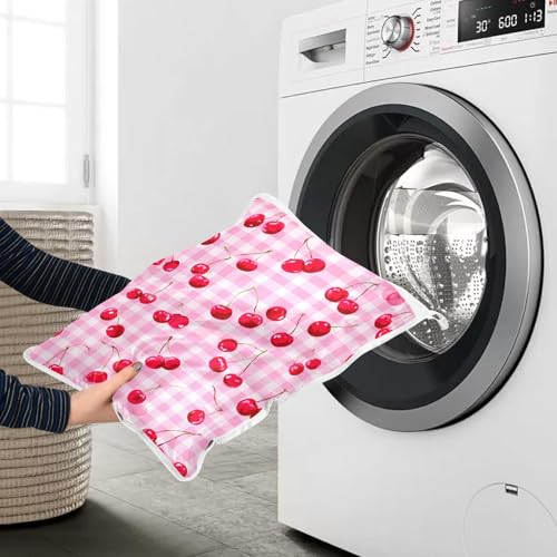 Mesh Laundry Bags Lingerie Bags for Washing Delicates 2 PCS Durable Wash Bag with Zipper Small and Medium Washable Pink Juicy Checkered Cherry - color: Pink Juicy Checkered Cherry