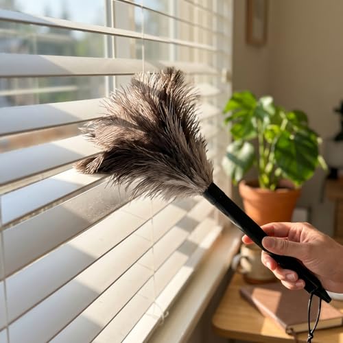 2 Pcs Retractable Ostrich Feather Dusters, Washable Handheld Tools