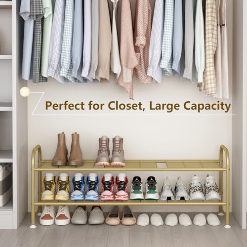 LINZINAR 2 Tier Long Shoe Rack for Closet Metal Shoe Organizer for Entryway - color: Gold, size: 2-Tier