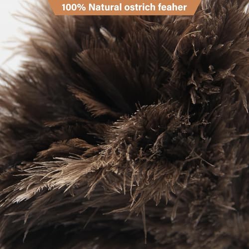 Feather Duster, Ostrich Feather Duster Replacement Head, Reusable Ostrich Feather Duster, Brown (Replacement Head Only) - size: 10"