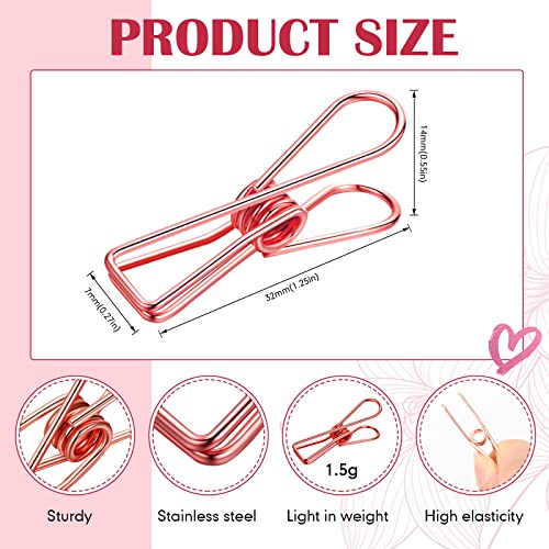 Sabary 100 Pcs Paper Clip Metal Wire Clothespin,Small,Rose Gold - color: Rose Gold, size: Single Size (Small)