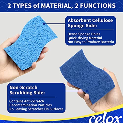 CELOX 12 Sponge Kitchen, Non-Scratch Dish Sponge, Blue - color: Blue - S
