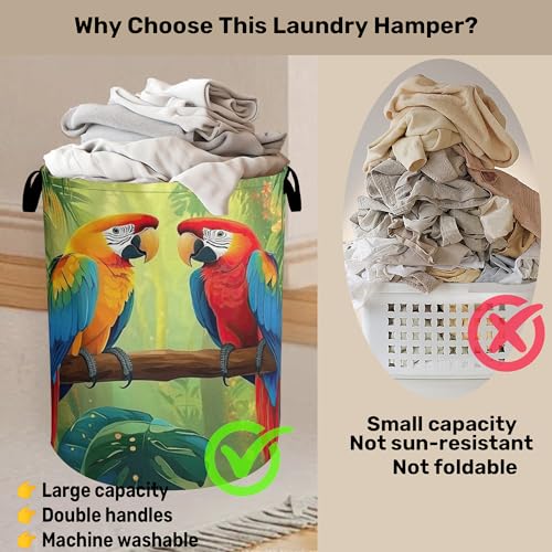 Tropical Parrot Foldable Laundry Hamper - Waterproof Fabric Storage Basket with Handles, Clothes Hampers for Laundry,Bedroom,Dorm - color: Tropical Parrot