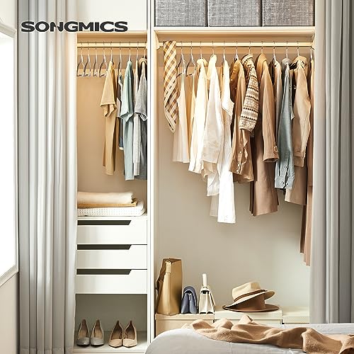 SONGMICS Clothes Hangers, Set of 100, Space-Saving - color: Light Gray + Dark Gray, size: 100 Pack