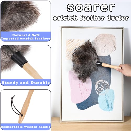 Soarer Ostrich Feather Duster for Cleaning,2Pcs Brush Kit,14inch Handle - color: 14inch Kit