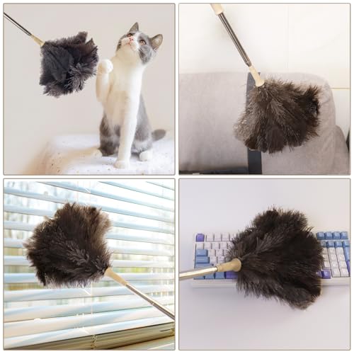 Aldwin Ostrich Feather Duster, 43" Extendable Feather Dusters for Cleaning