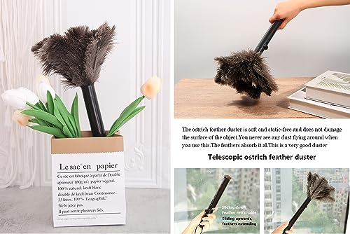 Retractable Ostrich Feather Duster for Cleaning, 15 Inch Fluffy and Natural Feather Duster with Retractable Handle, Reusable Eco-Friendly Handheld Cleaning Supplies (10 pcs) - color: Model-15”-brown-10 Pieces