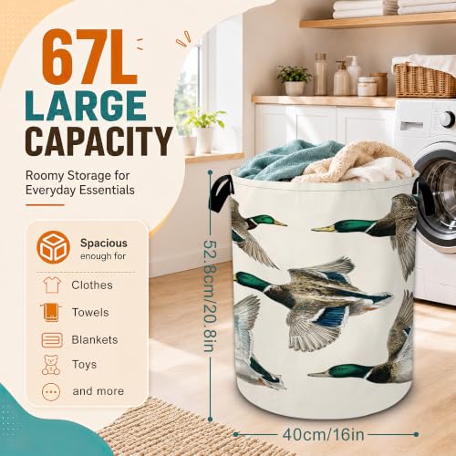 Vintage Mallard Duck Laundry Basket,Foldable Oxford Laundry Hamper with Handles,Portable Clothes Tote Bag Clothes Storage Bucket Organizer 20.8" x16" For Bathroom/Laundry Storage/Bedroom - color: Vintage Mallard Duck