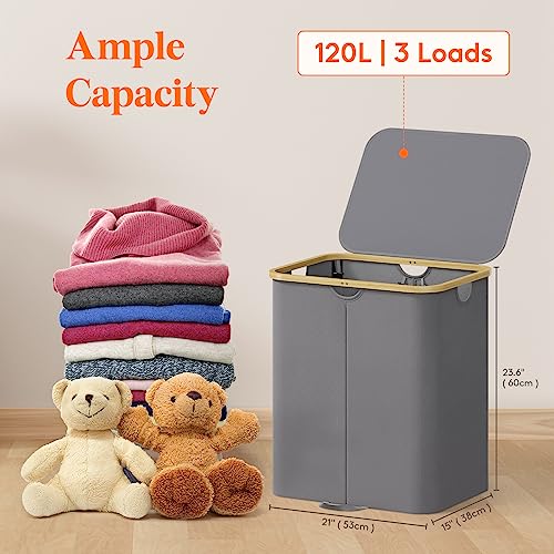 Lifewit 120L Double Laundry Hamper with Lid and Removable Bag, Gray - color: Charcoal Gray, size: 120L