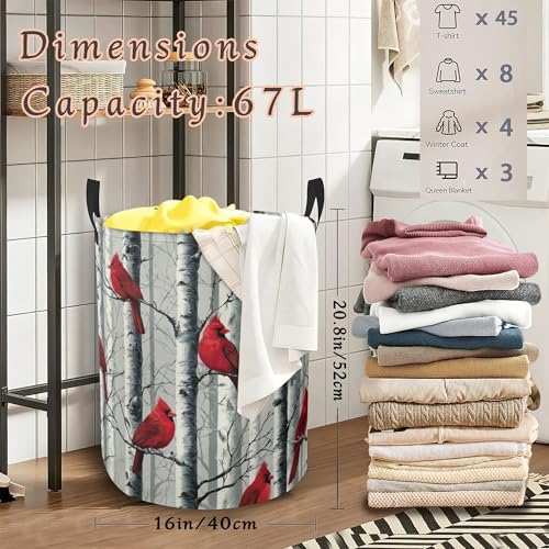 Red Cardinal Laundry Basket,Foldable Oxford Cloth Laundry Hamper with Handles Waterproof Dirty Clothes Storage Basket for Bathroom Bedroom Dorm Room 16" x 20.8" - color: Red Cardinal