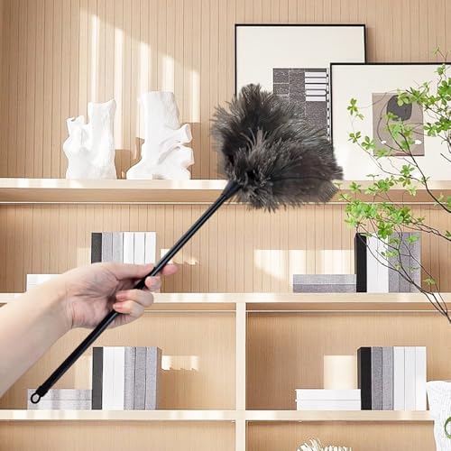 Flylin PP Long Handle Mini Duster with Small Brush Head and Packaging Bag