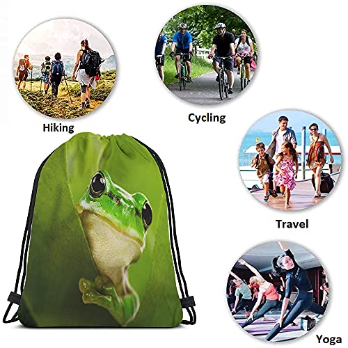 Green Frog Drawstring Bags Backpack Bag Cute Animal Little Funny Wildlife Tree Leaves Nature Black Big Eyes Sport Gym Sack Drawstring Bag String Bag Yoga Bag for Men Women - color: Multi-a04