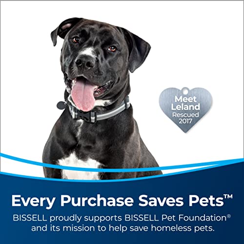 Bissell MultiClean Allergen Lift-Off Pet Vacuum, HEPA, Tangle-Free, 2998 - style: MulitClean Lift-Off