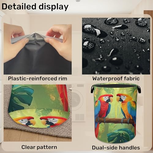 Tropical Parrot Foldable Laundry Hamper - Waterproof Fabric Storage Basket with Handles, Clothes Hampers for Laundry,Bedroom,Dorm - color: Tropical Parrot