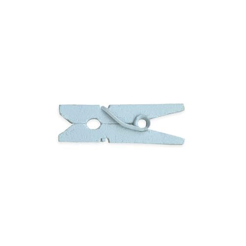 LWR CRAFTS Wooden Mini Clothespins 100 Per Pack 1" 2.5cm (Light Blue) - color: Light Blue