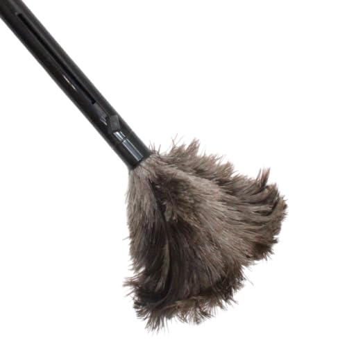 Retractable Feather Duster 8-14 in Adjustable - Natural Ostrich Feather Duster for Cleaning Ceiling Fans, Blinds, Plantation Shutters, Walls & Furniture - Quality Checked in USA - 1 Pack - size: 1 Pack