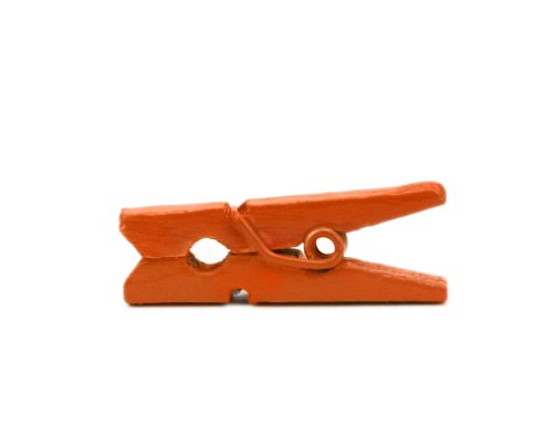 LWR CRAFTS Wooden Mini Clothespins 200 Per Pack 1" 2.5cm (Orange) - color: Orange
