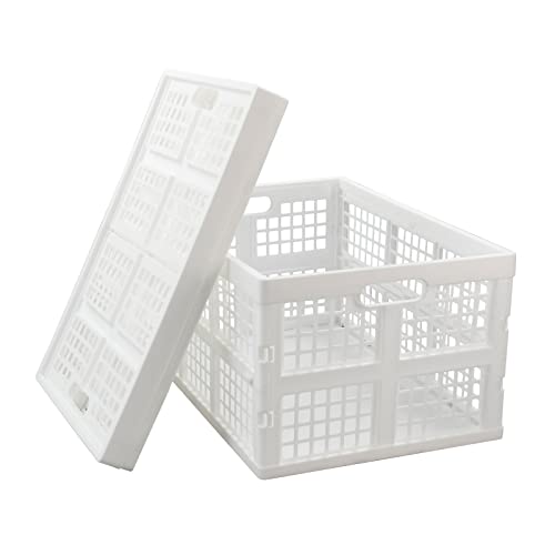 Begale 2-Pack Large Collapsible Crate, 42 L Folding Storage Basket, White - size: 42 L