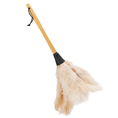Redecker Ostrich Feather Duster with Varnished Wooden Handle, 19-2/3-Inches, White - color: Varnished Wooden Handle, White, 19-2/3-inches