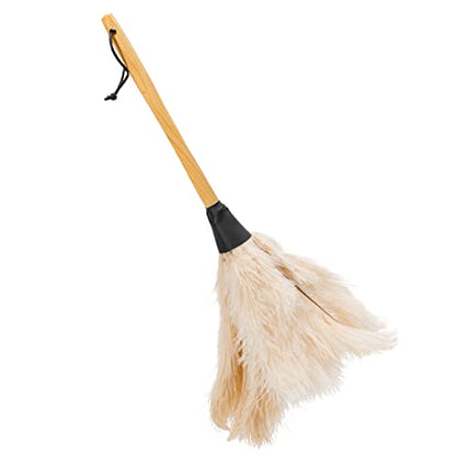 Redecker Ostrich Feather Duster with Varnished Wooden Handle, 19-2/3-Inches, White - color: Varnished Wooden Handle, White, 19-2/3-inches