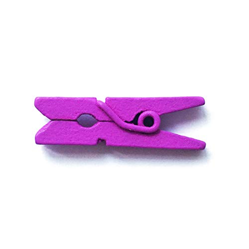 LWR CRAFTS Wooden Mini Clothespins 200 Per Pack 1" 2.5cm (Purple) - color: Purple