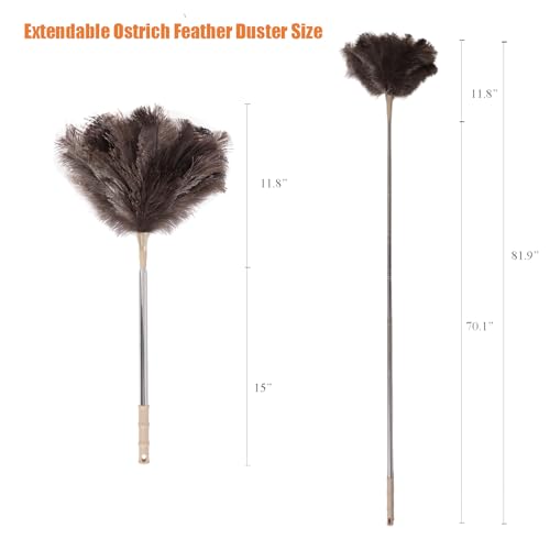 Extendable 81.9 Inch Ostrich Feather Duster with Extension Used for Home Cleaning Ceilings Furniture Fans Washable（1.8M Telescopic Rod,Grey） - color: Gray, size: 81Inch