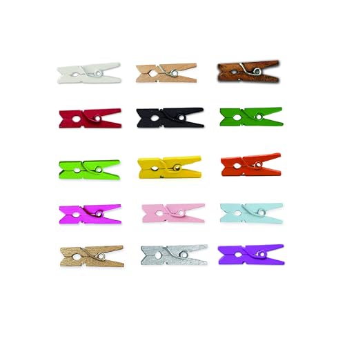 LWR CRAFTS Wooden Mini Clothespins 15 Colors 100 Per Pack 1" 2.5cm (All) - color: Multicolor