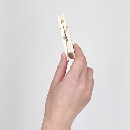 Clorox Wood Clothespins with Spring – Value Pack Set of 50 | Rust Resistant, Heavy-Duty Coil, Non-Slip Grip for Line Drying Laundry, Chip Clips, Crafts, 50 Pack - size: 50 Pack